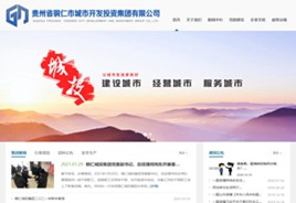 云岩区城市开发投资集团有限公司