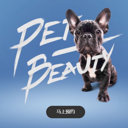 云岩区宠物中心小程序